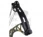 Preview: Hoyt Package Torrex