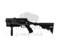Preview: Steambow Crossbow Recurve AR-6 Stinger 2 Tactical 55#