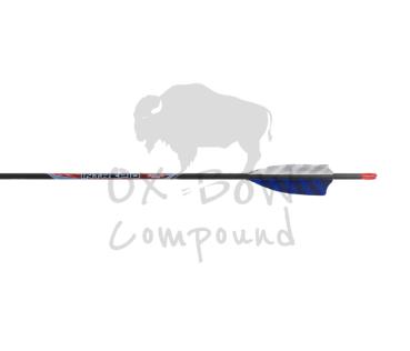 Black Eagle Arrow Feather Fletched Intrepid - im 6er -Pack