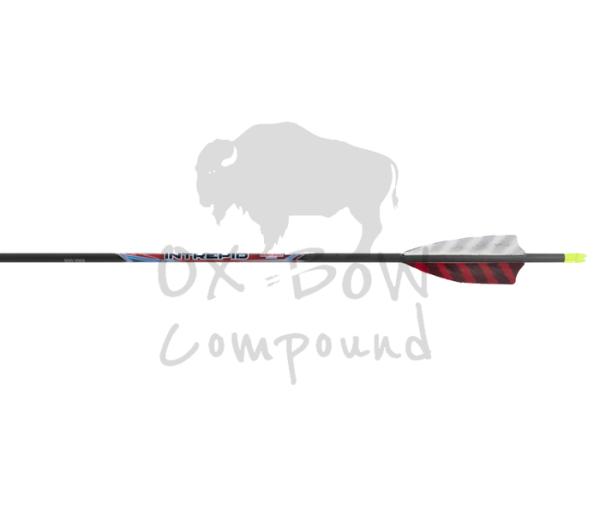Black Eagle Arrow Feather Fletched Intrepid - im 6er -Pack