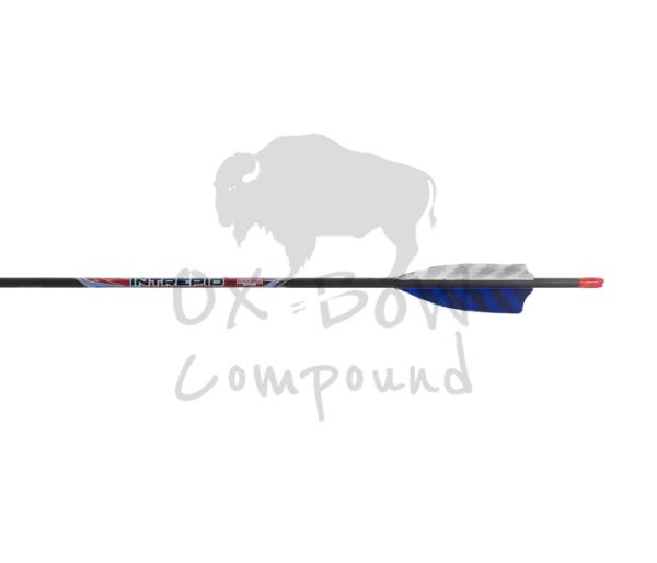 Black Eagle Arrow Feather Fletched Intrepid - im 6er -Pack