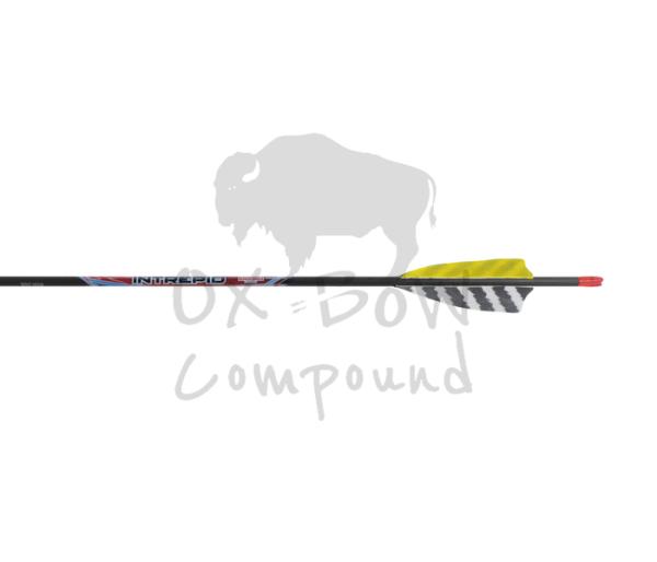 Black Eagle Arrow Feather Fletched Intrepid - im 6er -Pack